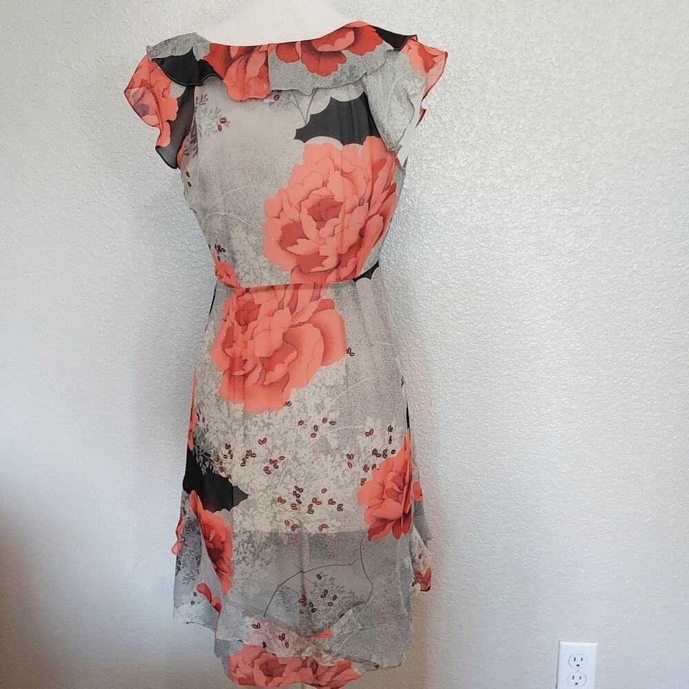 Moulinette Soeurs Sheer Coral Silk Spring Dress Size 6 - Picture 9 of 12